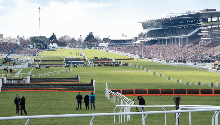 Cheltenham Betting Offers – Compare the Best Odds