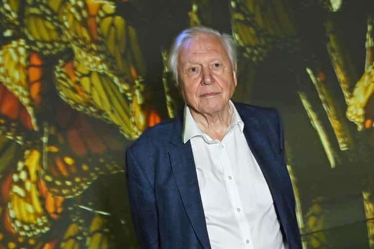 The one animal David Attenborough ‘hates’ as legendary environmentalist turns 100