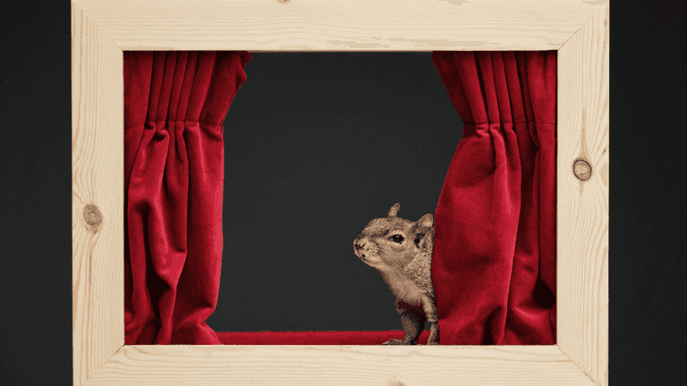 Iconic 90s beer revives classic squirrel advert 30 years after it first aired