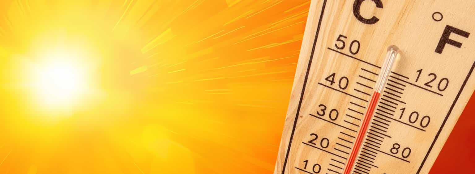 UK heatwave: How to keep your home, family and pets cool