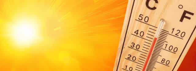 UK heatwave: How to keep your home, family and pets cool