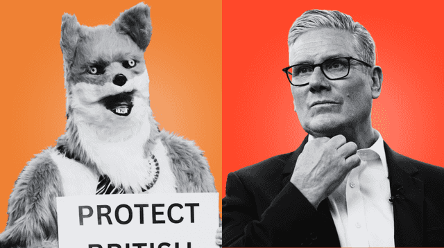The JOE weekly Politics Quiz: Week Three