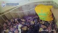 Hilarious moment shoplifter found hiding underneath carrier bag to evade police