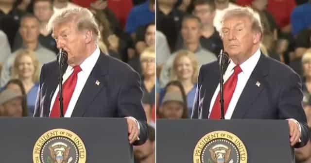 ‘Paedophile protector!’ – Donald Trump heckled by protestors during rally