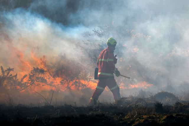 The summer Britain realised climate change was real – and has consequences