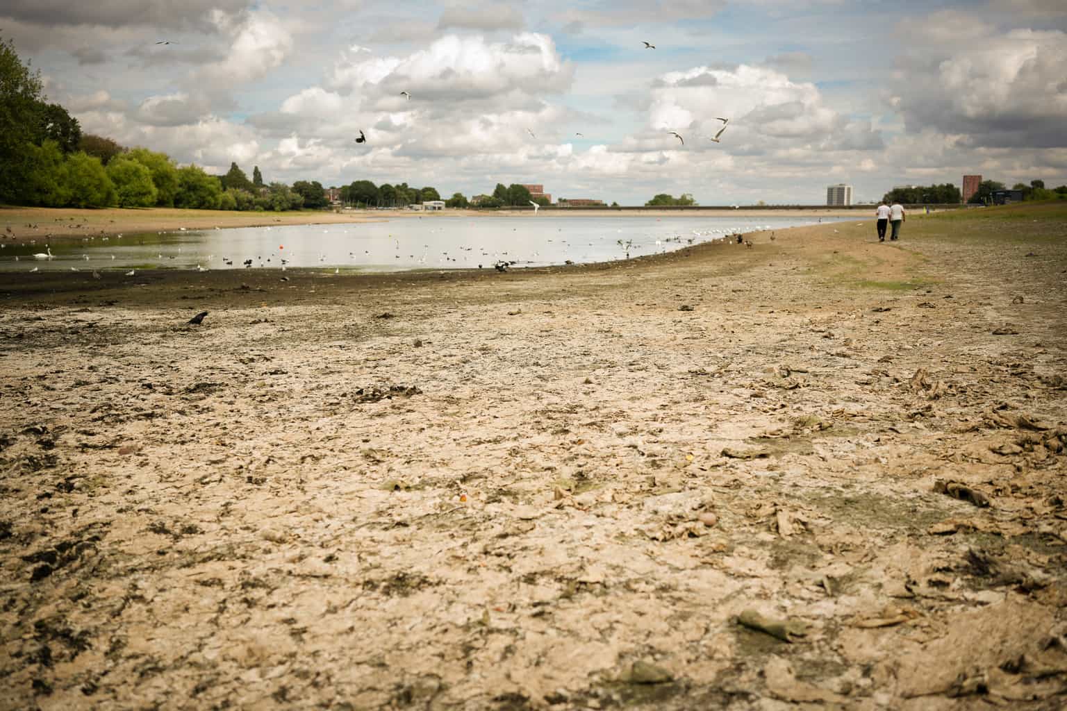 England drought spreads to 45 million as fifth heatwave looms