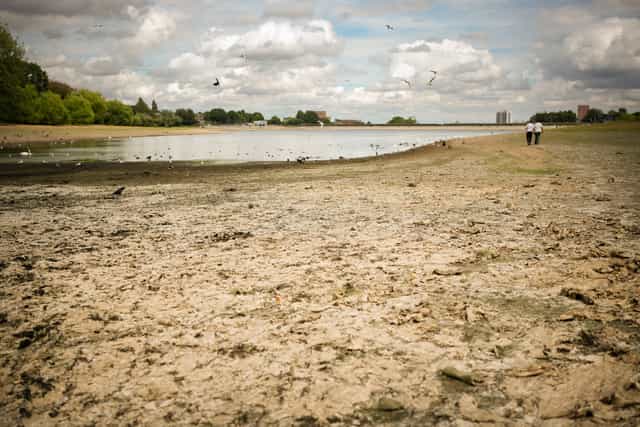 England drought spreads to 45 million as fifth heatwave looms