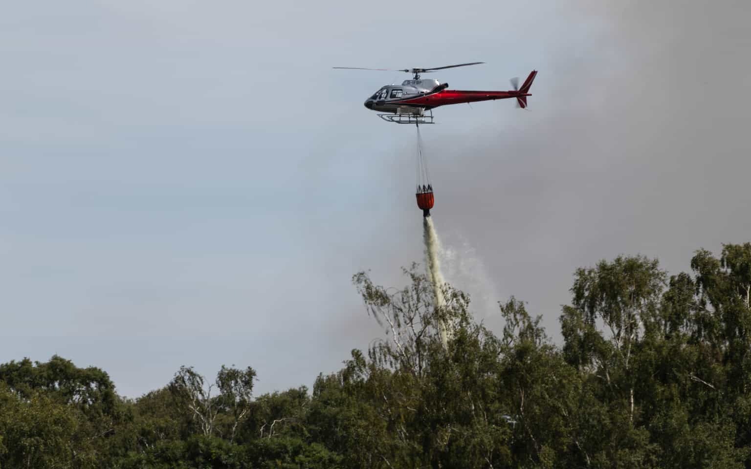 New Forest wildfire under control after A31 blaze