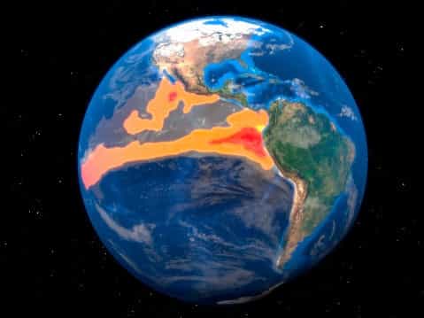 Super El Niño now comes with fatal rabies warning after ‘significant global shift’