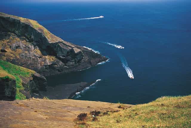 Bodies of four missing people found on island as fears of serial killer rise