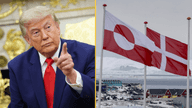 Denmark hailed for convincing Trump to sign a deal on Greenland ‘which already existed’