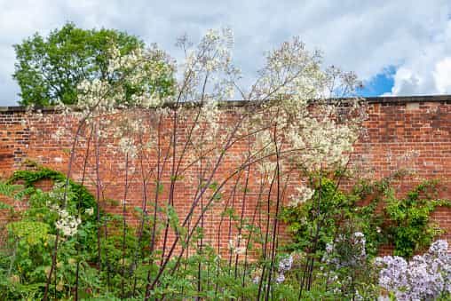 81-year-old woman wins £50,000 with council to walk through her own backyard