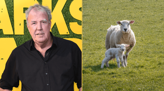 Jeremy Clarkson issues blunt warning after 11 sheep stolen from Diddly Squat Farm