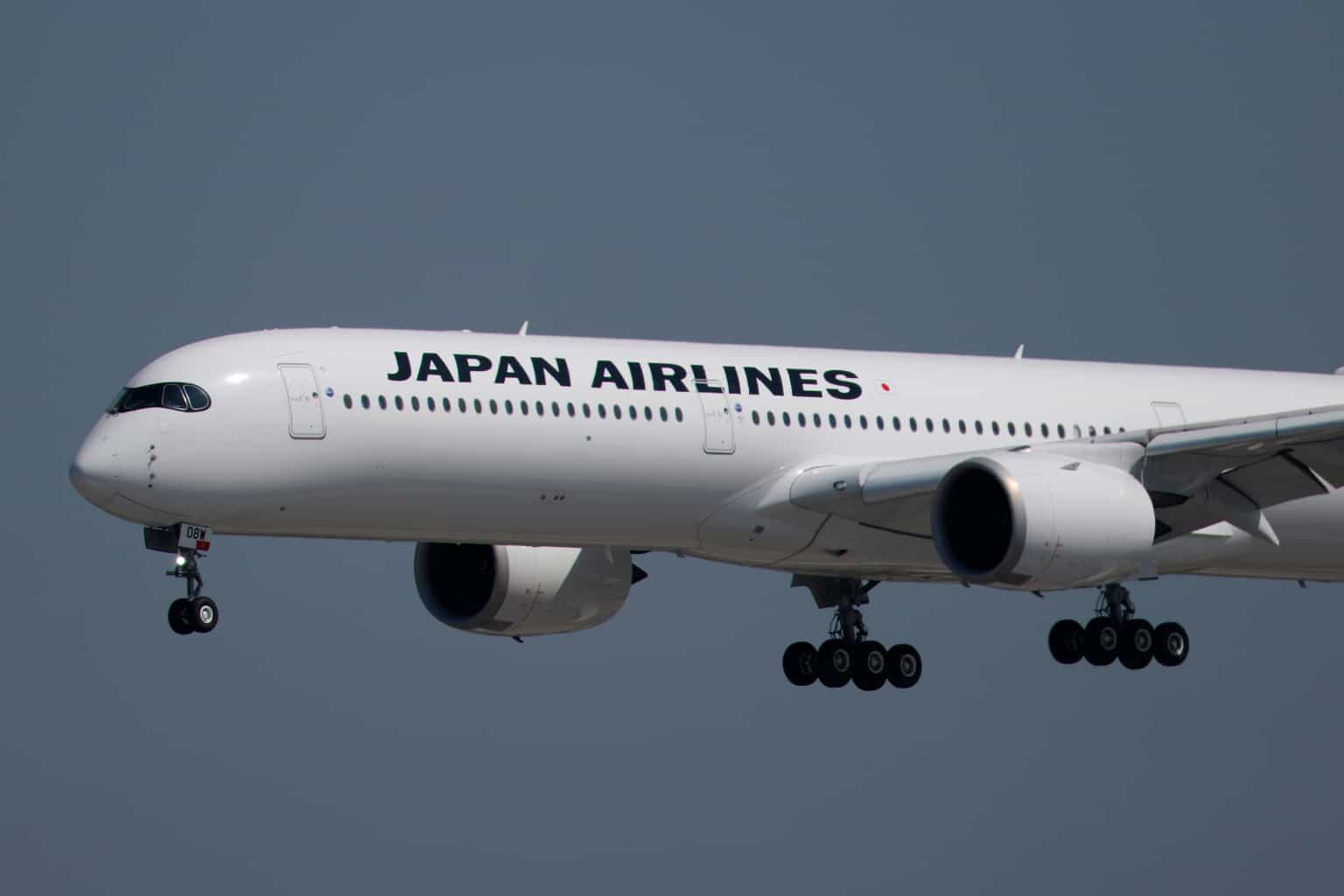 Flight cancelled after snake found on plane in first of its kind incident