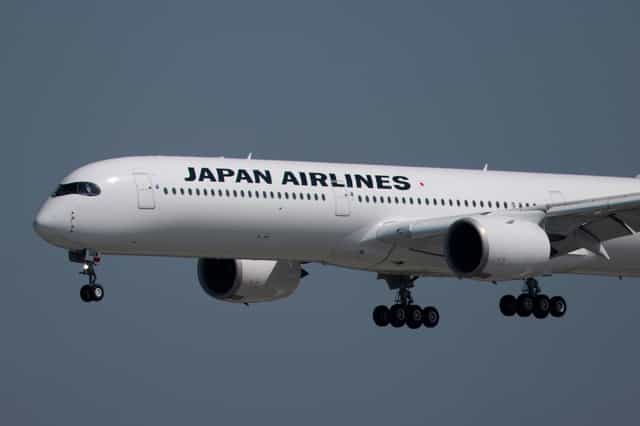 Flight cancelled after snake found on plane in first of its kind incident