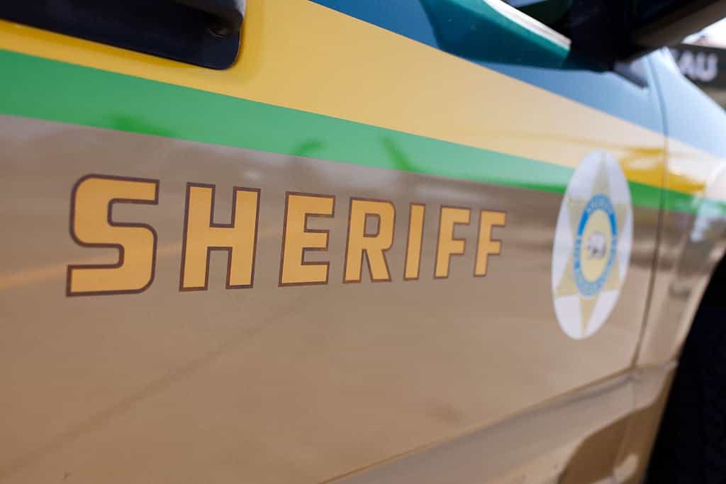 Mum arrested after allegedly leaving children home alone during Vegas trip