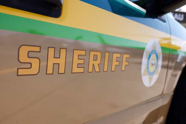 Mum arrested after allegedly leaving children home alone during Vegas trip