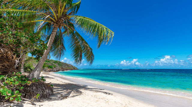 You could go on holiday to the Bahamas with this £89 Wowcher offer