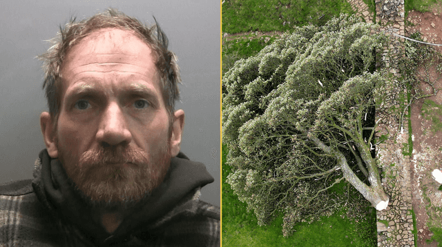 Sycamore Gap: second man released from prison