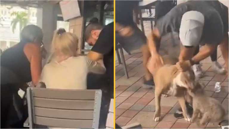 Terrifying moment pitbull snatches small dog from woman’s lap in restaurant