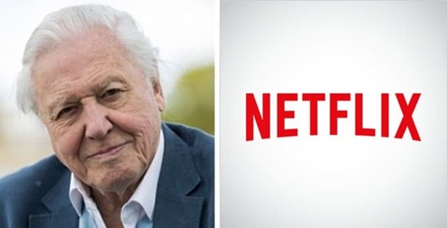 Great news because Sir David Attenborough is developing a new nature show on Netflix