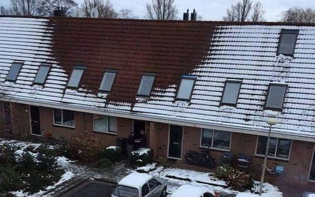 Police think Storm Emma will unexpectedly allow them to catch criminals Police think Storm Emma will unexpectedly allow them to catch criminals