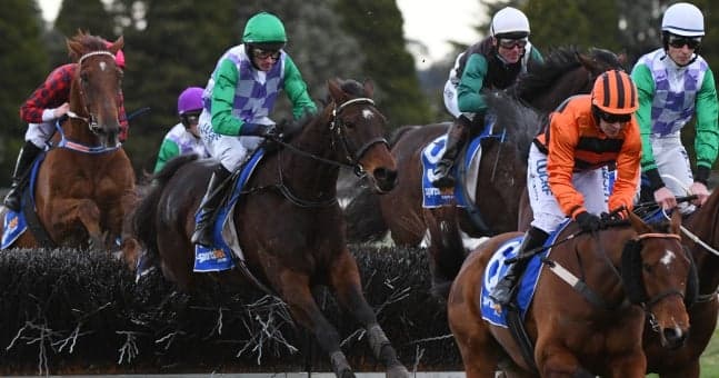 Animal rights group PETA call for ITV to stop broadcasting the Grand National Animal rights group PETA call for ITV to stop broadcasting the Grand National