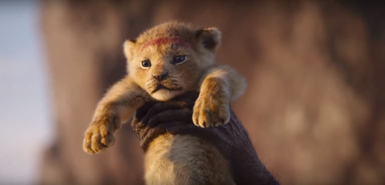 The Lion King remake confirmed for release this summer with awesome new trailer The Lion King remake confirmed for release this summer with awesome new trailer