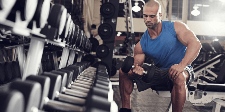 Weight loss: how to maintain the most muscle mass when dieting