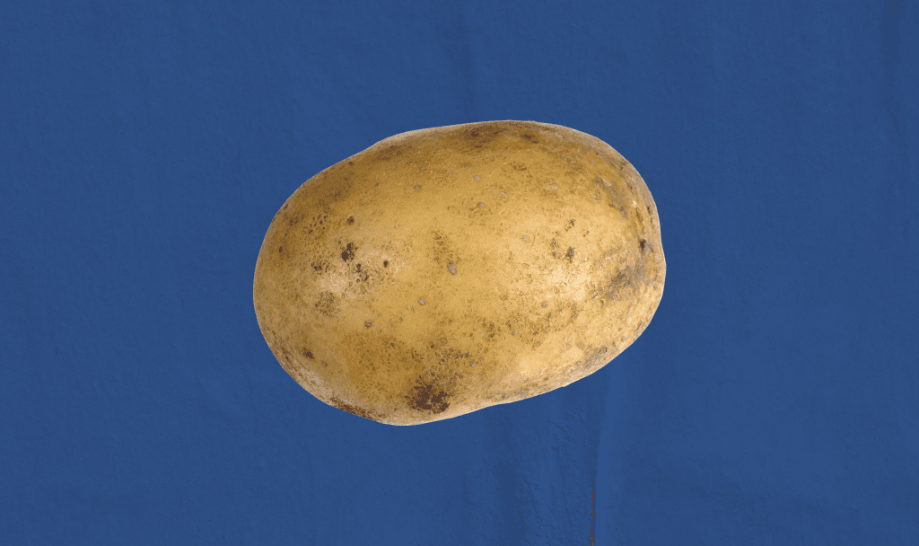 Ranking the best and worst forms of potato in the world
