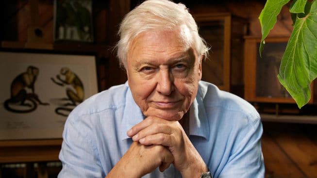 David Attenborough to teach BBC geography classes for children at home