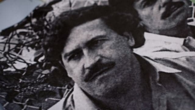 Scientists say Pablo Escobar’s hippos must be culled as population surges Scientists say Pablo Escobar’s hippos must be culled as population surges