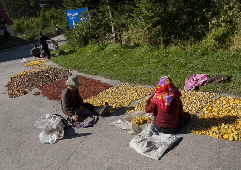 North Korea is running out of food as a bunch of bananas ‘now costs $45’ North Korea is running out of food as a bunch of bananas ‘now costs $45’
