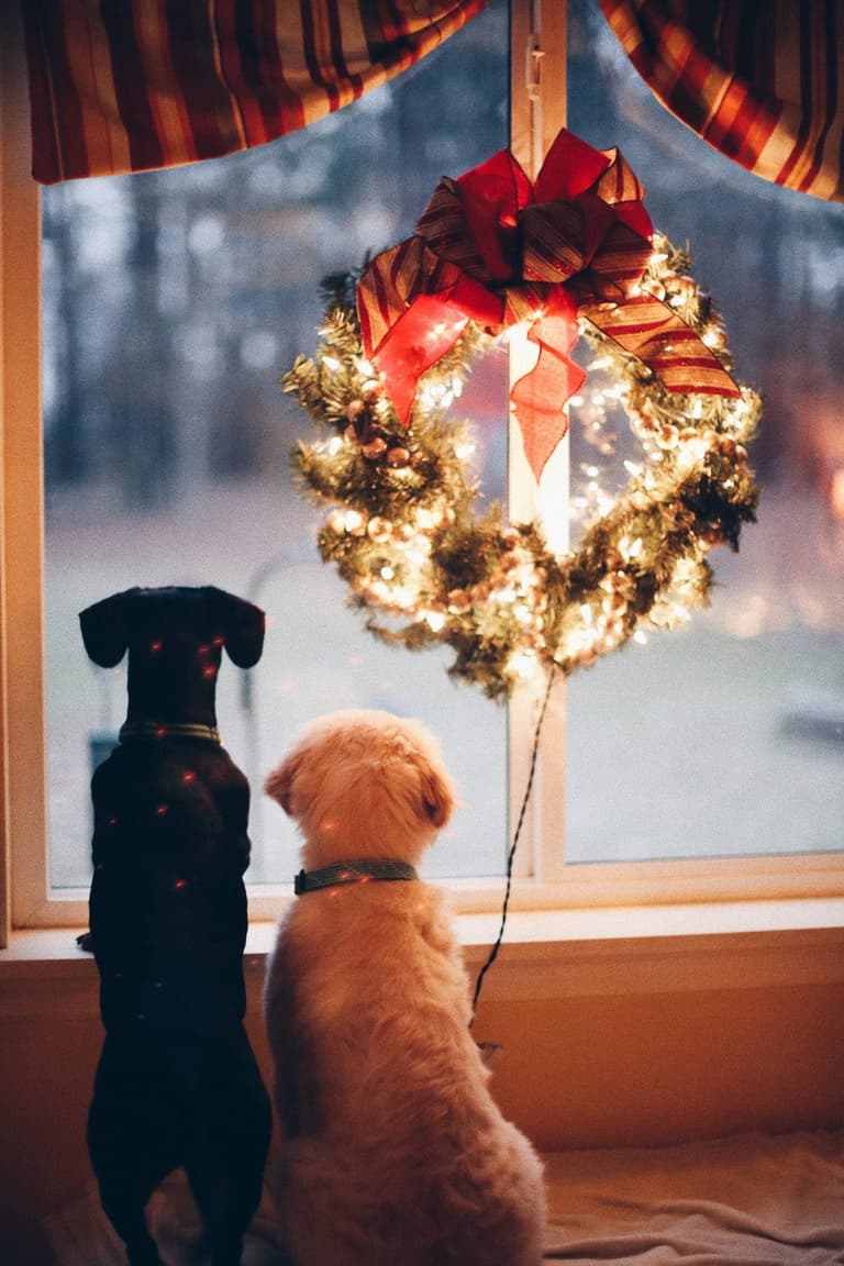 People who put up Christmas decorations early are happier according to science People who put up Christmas decorations early are happier according to science