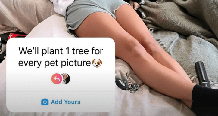 The ‘post a pet pic, plant a tree’ trend seems to be one big scam The ‘post a pet pic, plant a tree’ trend seems to be one big scam