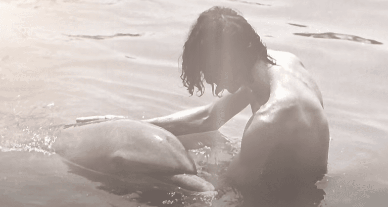 Man claims dolphin seduced him and it led to a sexual relationship Man claims dolphin seduced him and it led to a sexual relationship