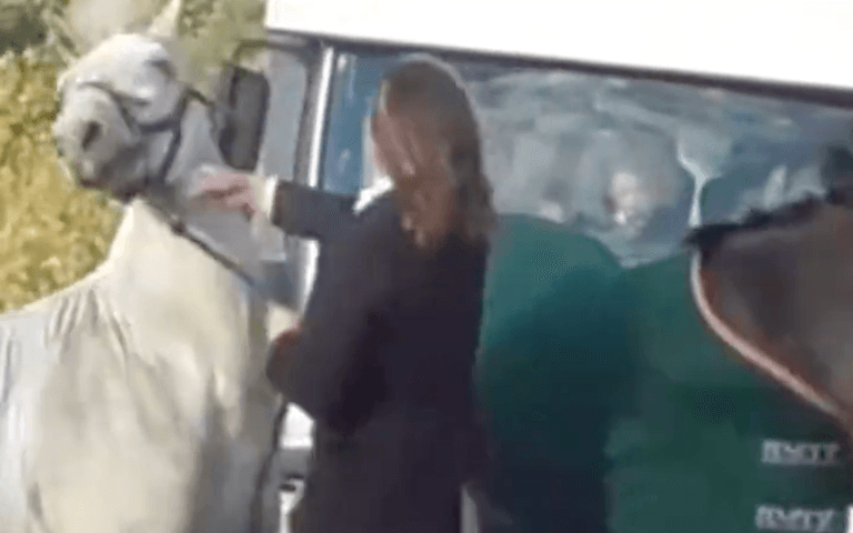 RSPCA appeals for info after ‘hunt rider’ filmed beating and kicking horse RSPCA appeals for info after ‘hunt rider’ filmed beating and kicking horse