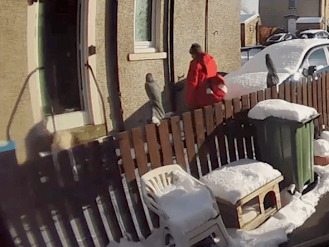 Postman who left woman, 72, lying in snow after fall fired by Royal Mail Postman who left woman, 72, lying in snow after fall fired by Royal Mail