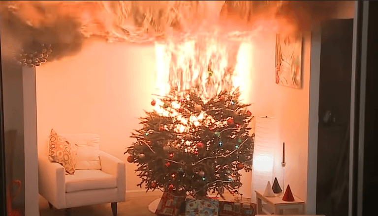 Viral warning video shows why you should be watering your Christmas tree Viral warning video shows why you should be watering your Christmas tree