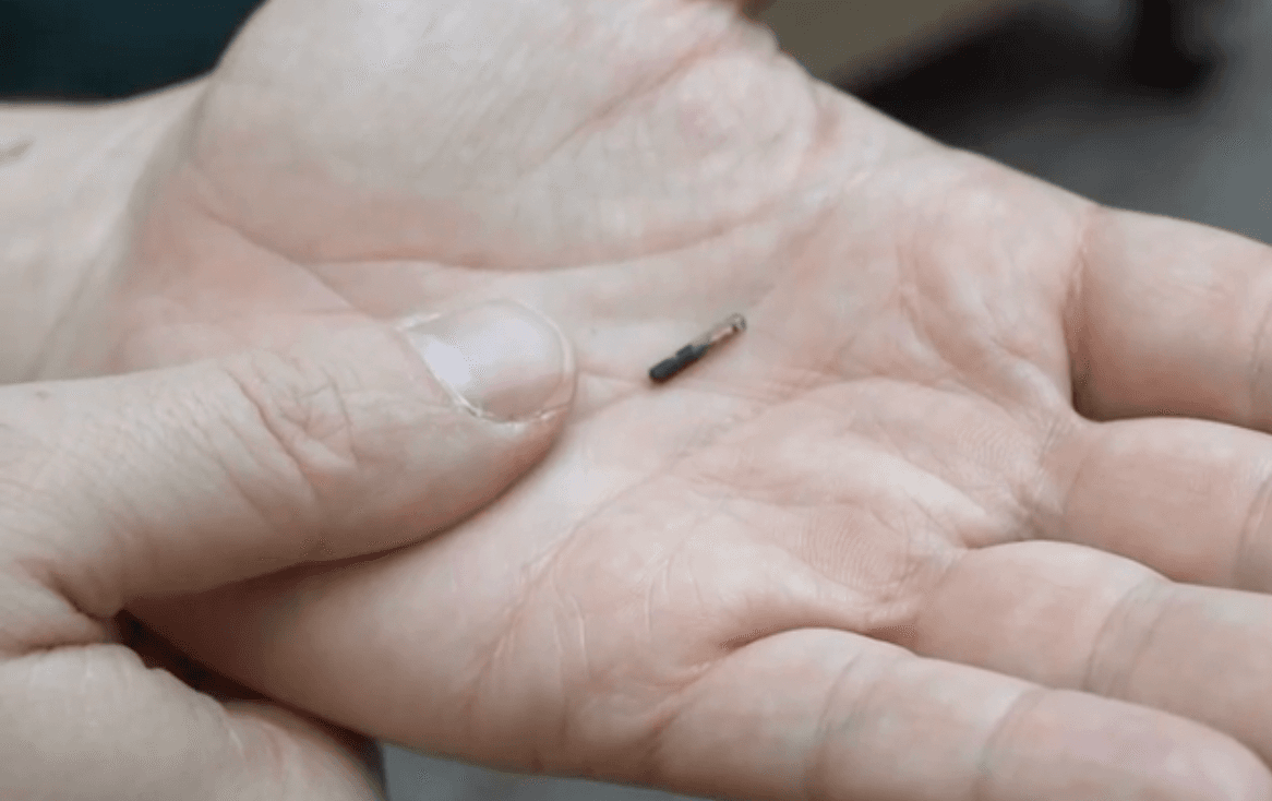 Tiny rice-sized microchip implant which holds your Covid passport info unveiled