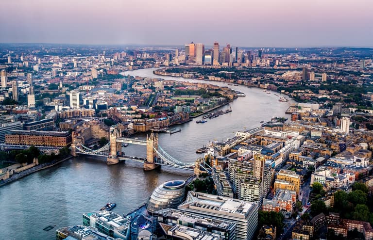Wildlife returns to the Thames 60 years after it was declared biologically dead Wildlife returns to the Thames 60 years after it was declared biologically dead