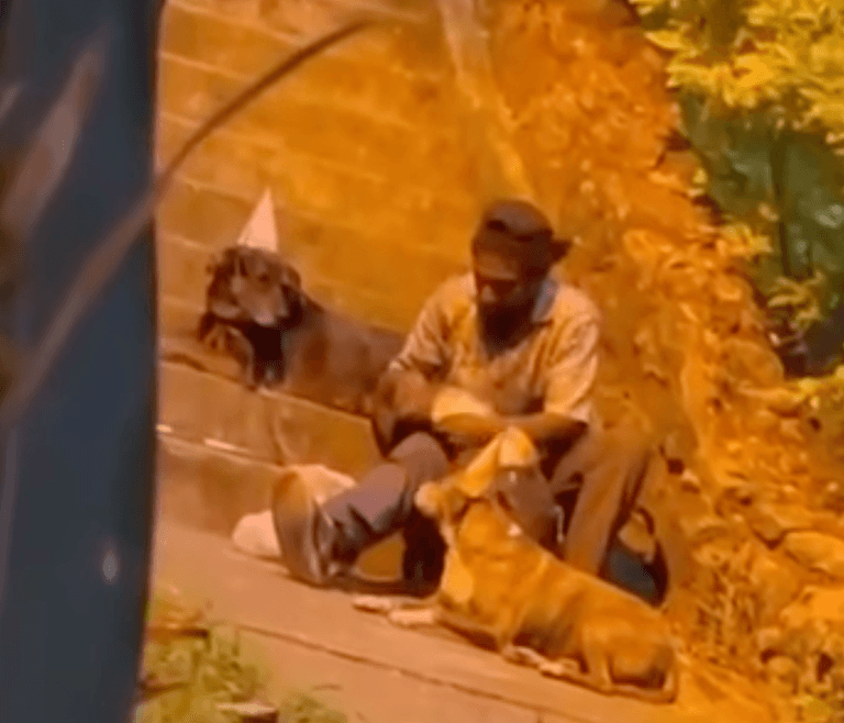 Camera catches homeless man throwing birthday party for his dog Camera catches homeless man throwing birthday party for his dog
