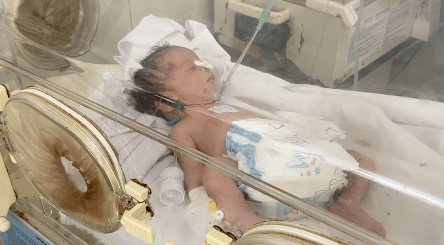 Afghan father forced to sell daughter as country starves