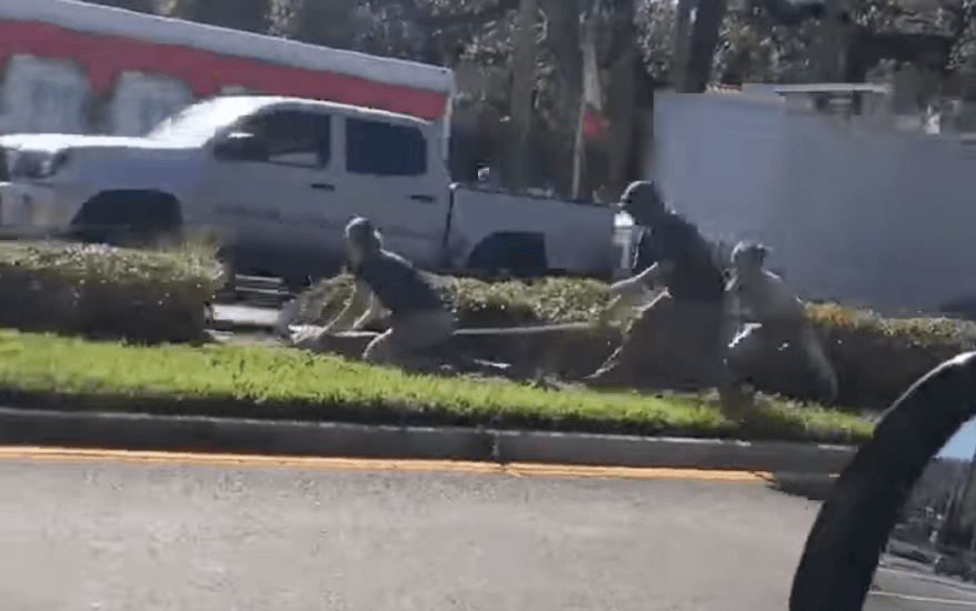 Crocodile causes mass panic after shocking zoo escape