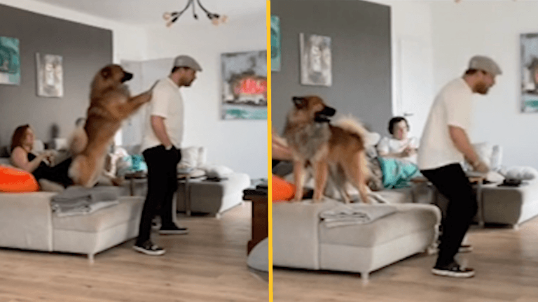 German coach goes viral for animated living room antics German coach goes viral for animated living room antics