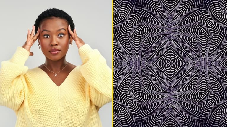 People are baffled with this optical illusion featuring two hidden animals People are baffled with this optical illusion featuring two hidden animals