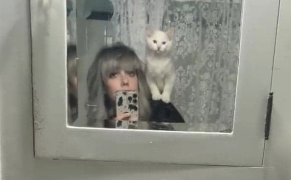 Woman paid $25,000 to clone her soulmate cat that died Woman paid $25,000 to clone her soulmate cat that died