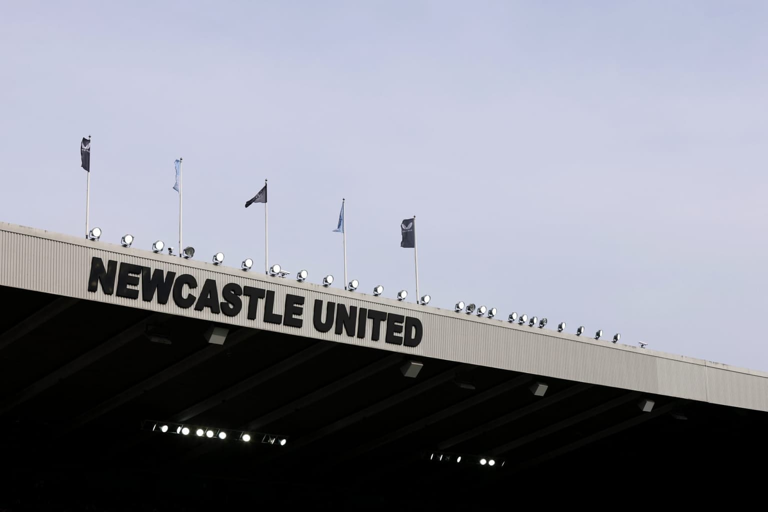 Newcastle United fan fined for making Nazi gesture during Spurs game