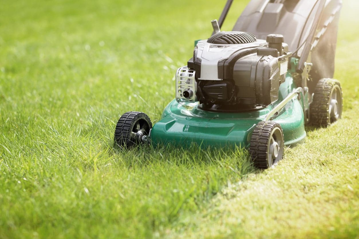 People are being told to not cut their grass in May for a good cause