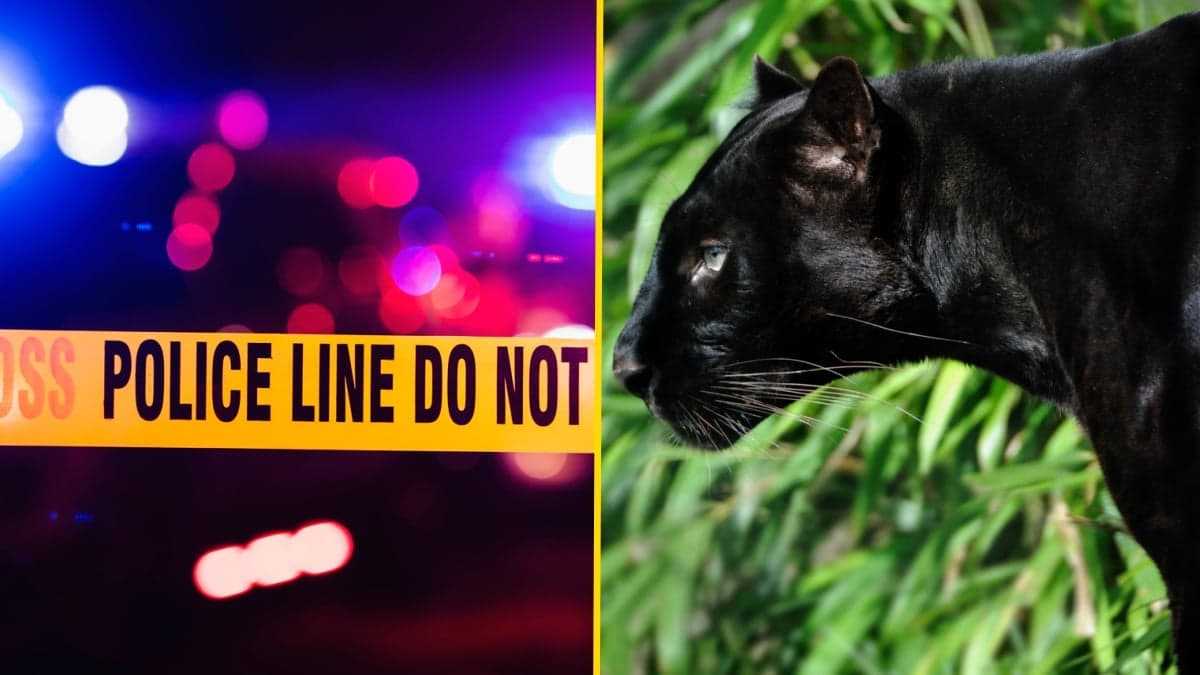 Teen shot dead by boyfriend after being mistaken for a panther in prank gone wrong